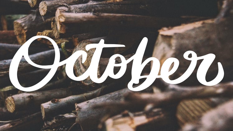 Home Grown Group Realty October Update