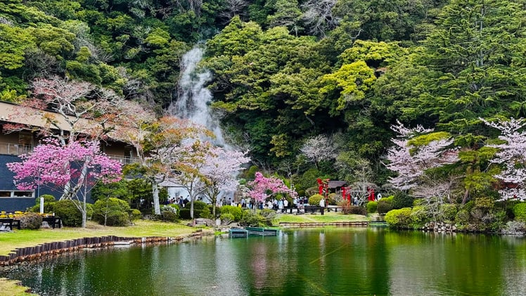 9-Day Kyushu Sakura Itinerary: The Ultimate Fukuoka to Kagoshima Guide