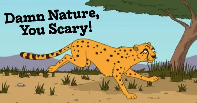 Be a force of nature