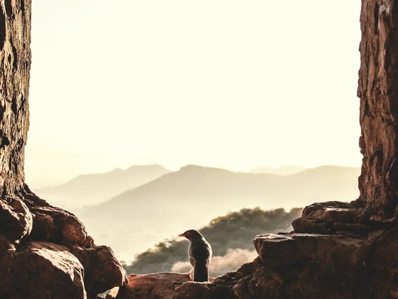 Clients were fired, offers were reneged, realisations were had... 👩‍💻