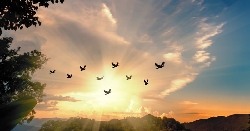 İlişkilerde Duyulmak ve Görülmek İçin Kendine Yer Açabilmek