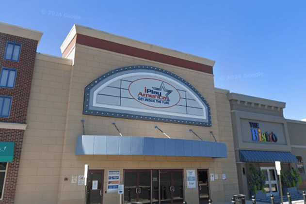 Salty Ginger Talk Newsletter