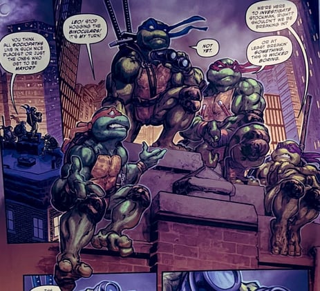 Teenage Mutant Ninja Turtles #13