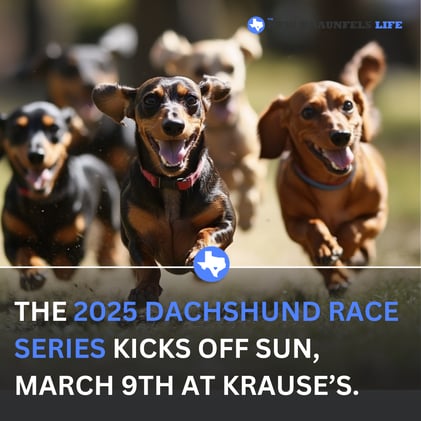 🍺Beer Festival, Crawfish Boil, & More New Braunfels Weekend Fun