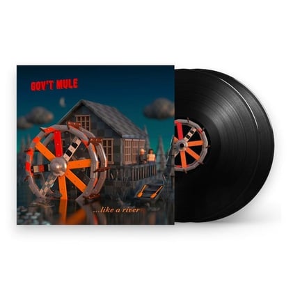 The Gov't Mule Collection: Vinyl, Magazines, Posters & Art