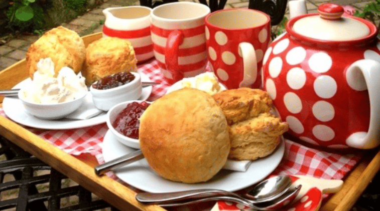 Is This The Best Tea Room In Devon?