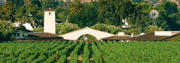 Year In Review: Top Wine Stories Of 2025