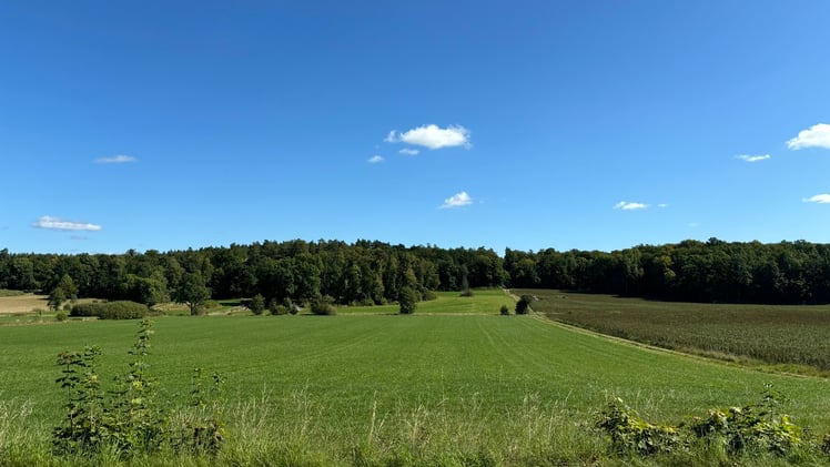 JONAS GLANS LÖPARBREV