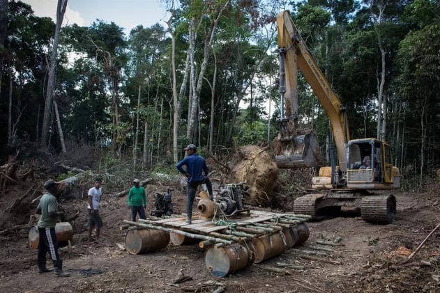 ⭐ DAILY SIGNAL #74