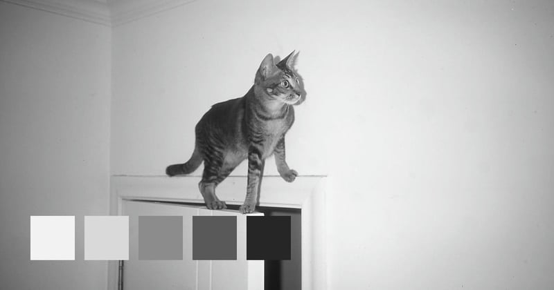 Shenzhen, Guangdong, China