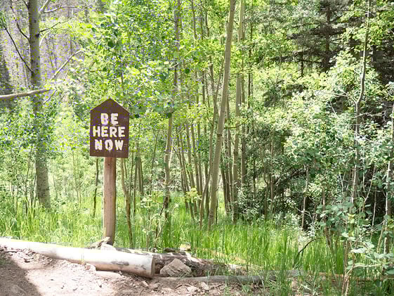 Outward Link Trail | Guidebook 2nd edition | Fish & Game Expo