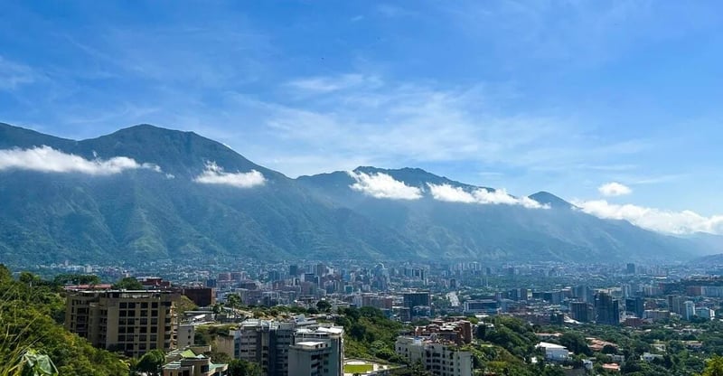 Solo 4 aerolíneas mantienen vuelos internacionales 🐱 
