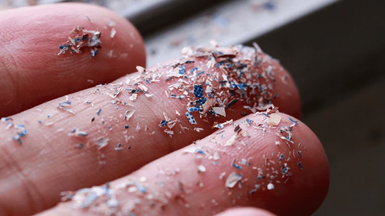 Microplastics in 98.9% of US Seafood: Oregon Study