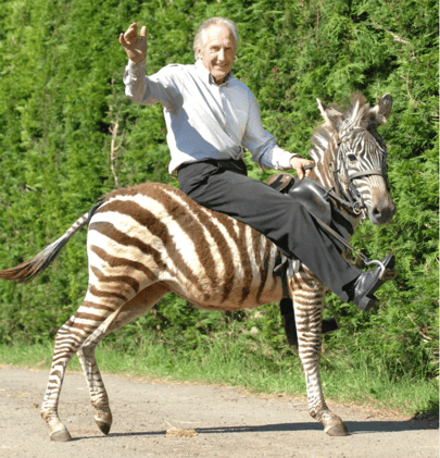 Rode a zebra to the pub