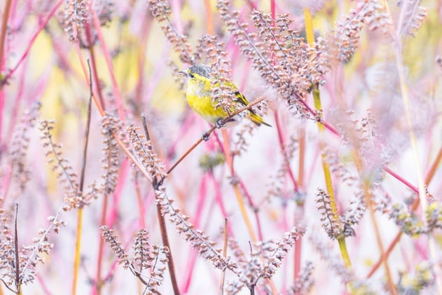 Volume #6: The Pressure to “Be Grateful” Is Real 