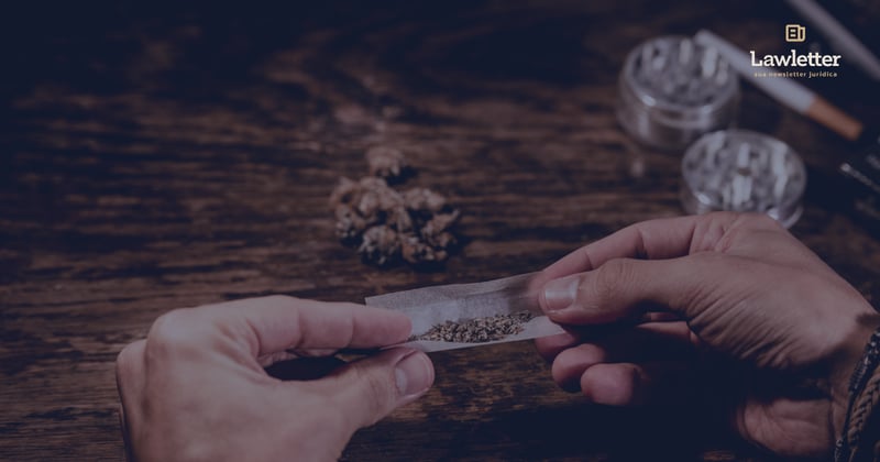 🛍️ black friday sem golpe é possível