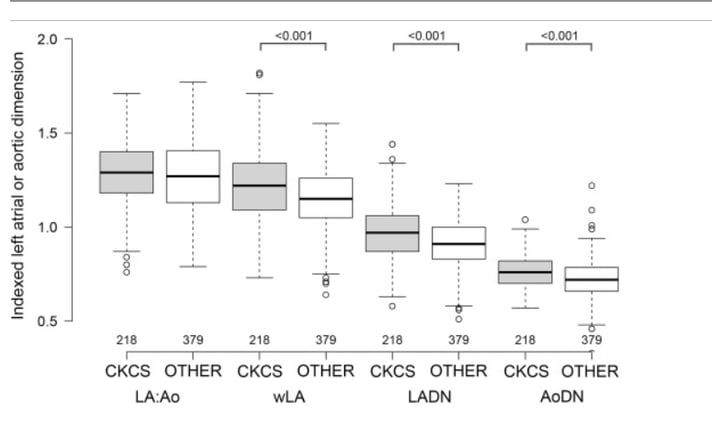 Which value should you use in Cavalier King Charles?