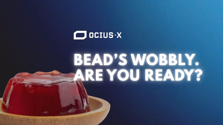 Navigating Uncertainty: BEAD Under Scrutiny