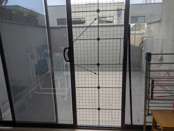 The Permanently Stretched Mind: Why Learning New Things Changes You Forever (And Why That's Good)