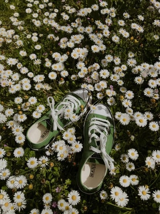 Lauding a quiet life
