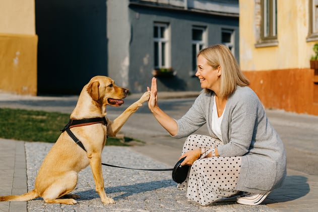🐶 Cause For Paws FREE Giveaway + Top 6 Tips For A Happier Dog