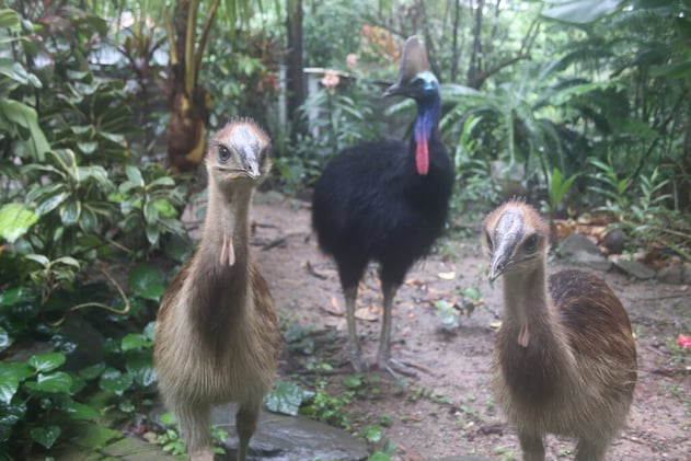 Newsport Alert Friday 24 April 2026