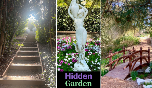 🌿 Botanical Garden Hidden in Plain Sight