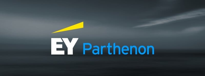 Executive - Strategy and Execution - Financial Restructuring