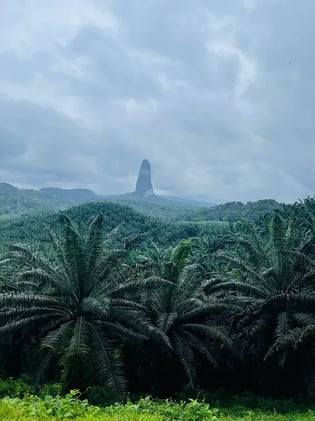 Peru £550, Egypt Coast £90, Goa £393 - yes, you should go ✈️