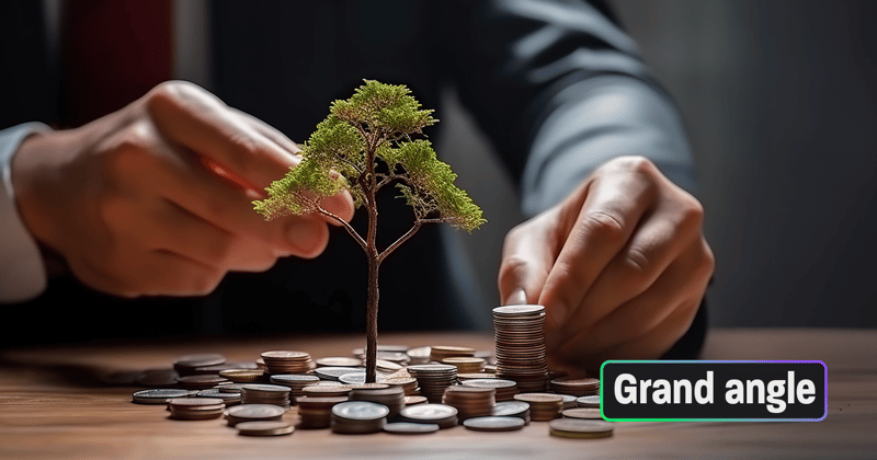 Investir dans la forêt pour la protéger : bon plan ?