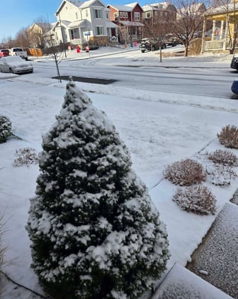 🤠 A Light Dusting, Big Plans Ahead