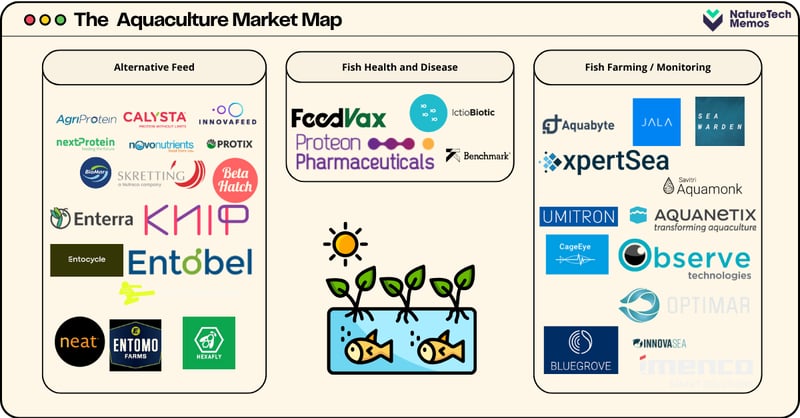 Top 40+ Aquaculture Startups in 2025 