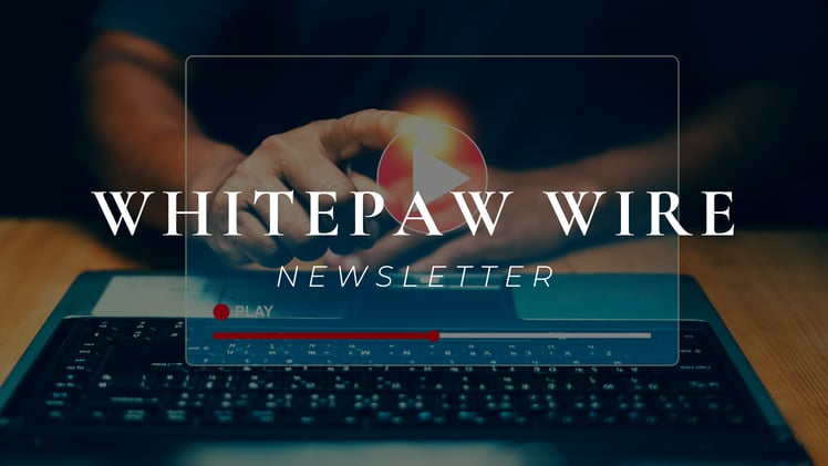 Streaming’s Next Big Shift Starts Local