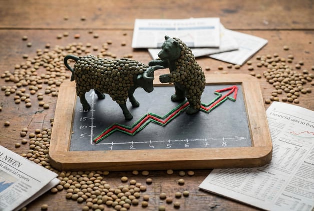 Small Green Lentils WITH VIDEO: RESEND