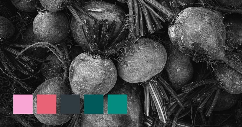 Professional Images With A Smartphone Camera