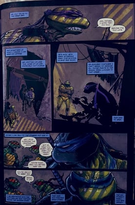 Teenage Mutant Ninja Turtles (8)