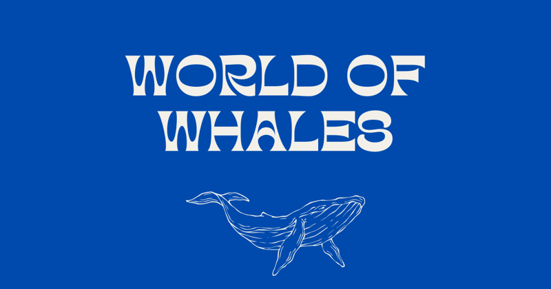 World of Whale