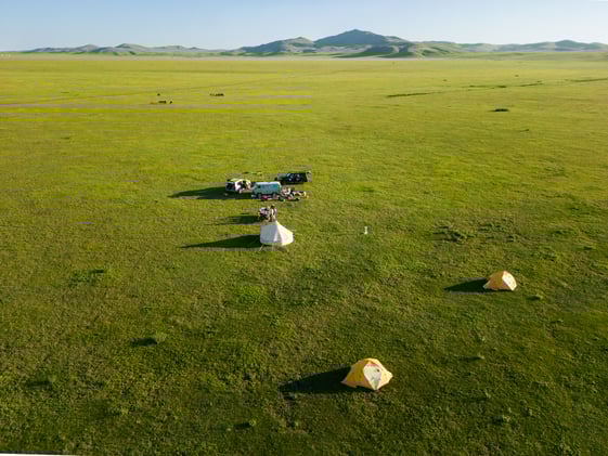 Educational Tours 2025: Join the Mongolian Archaeological Quest!