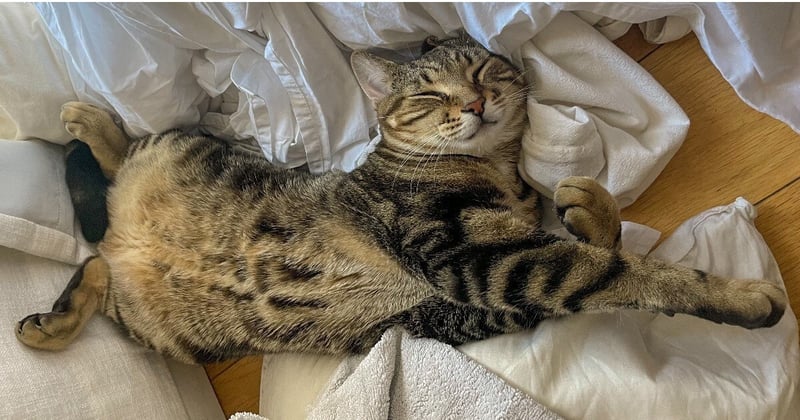 Women's ZenMindset Newsletter for February 2024