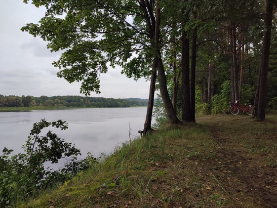 Embracing the Sacred Pause: A New Journey Begins