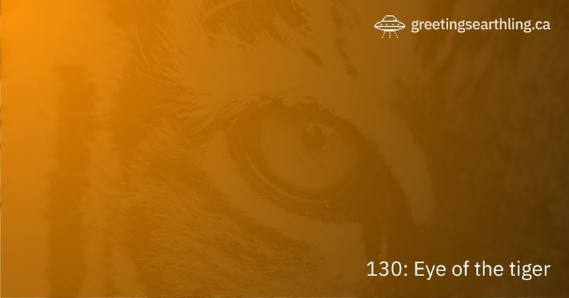 Transmission 130: Eye of the tiger