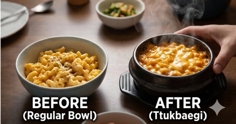 Your Bowl Is the Problem — Here’s Why Your Food Gets Cold So Fast