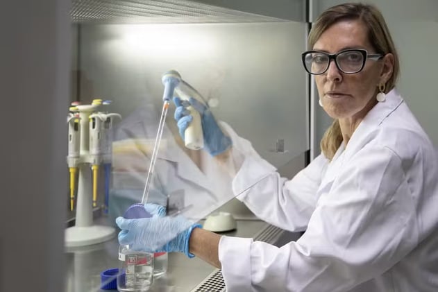 SUNDAY'S EDITION (08/03)