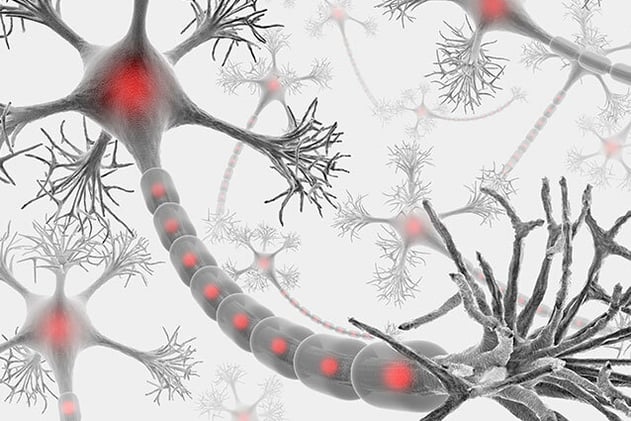 🧠 Resetting Your Nervous System: 3 Science-Backed Hacks for Fibromyalgia Relief