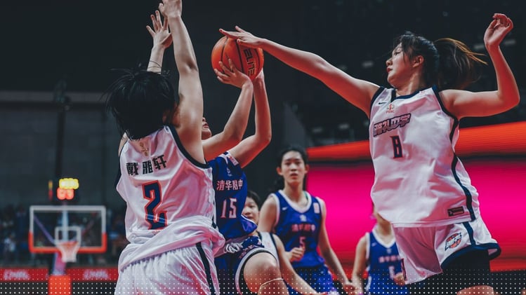 On-Court Fight Ends in Punishment for WNBA Star - LITE