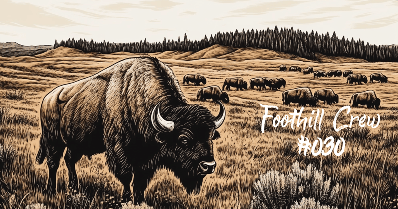 Who is Buffalo Bill?