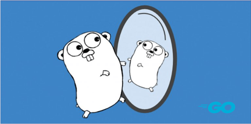 Understanding and Leveraging Go's Reflection Package