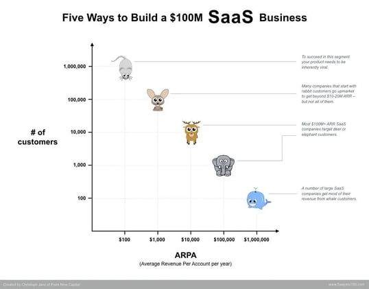 Cómo haría crecer spiky.ai