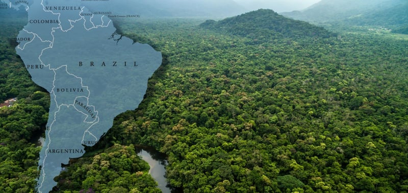 The geopolitics of the Amazon Rainforest 