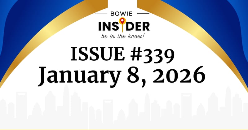 Bowie Insider Issue #339